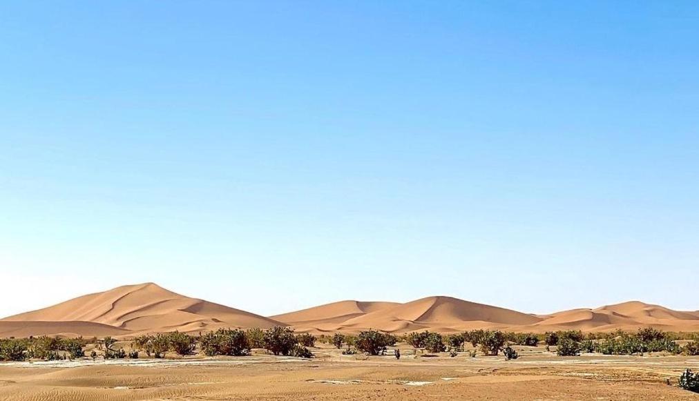 Chegaga Desert Trips Camp M'Hamid Exteriér fotografie