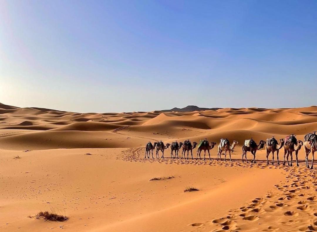 Chegaga Desert Trips Camp M'Hamid Exteriér fotografie